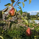 Des Genets En Terrasses Holiday home