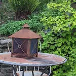 Des Genets En Terrasses