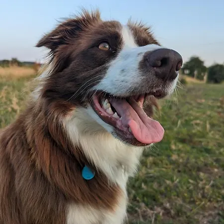 Des Genets En Terrasses Dom wakacyjny *