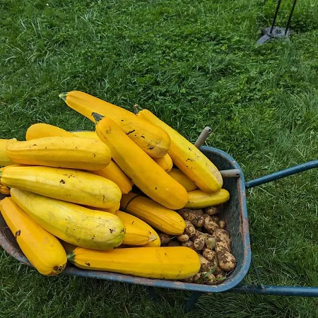 Des Genets En Terrasses Dom wakacyjny *