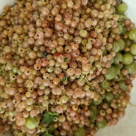 Des Genets En Terrasses Dom wakacyjny Bièvre