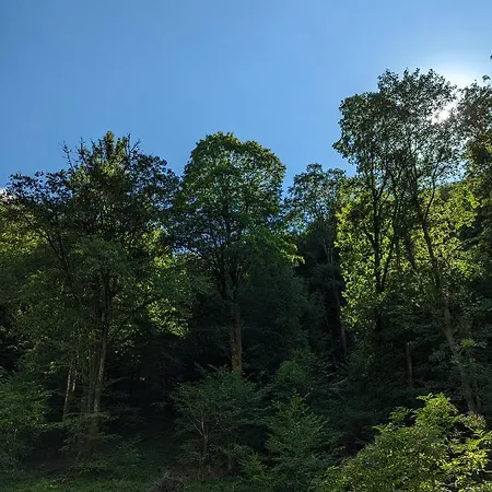 Des Genets En Terrasses Dom wakacyjny