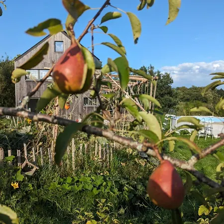 Des Genêts En Terrasses Ferienhaus