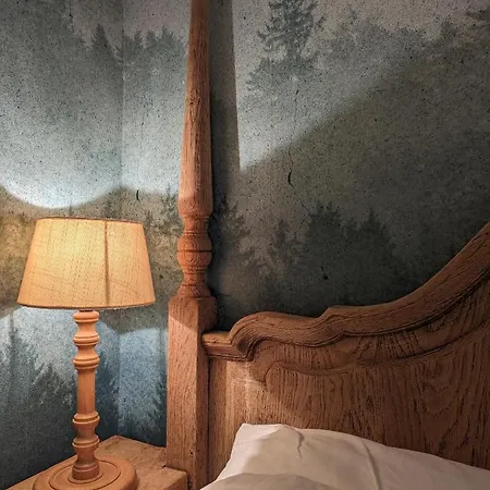 Des Genets En Terrasses