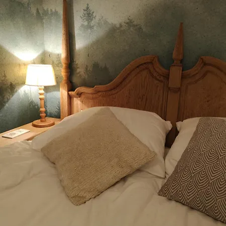 Des Genets En Terrasses